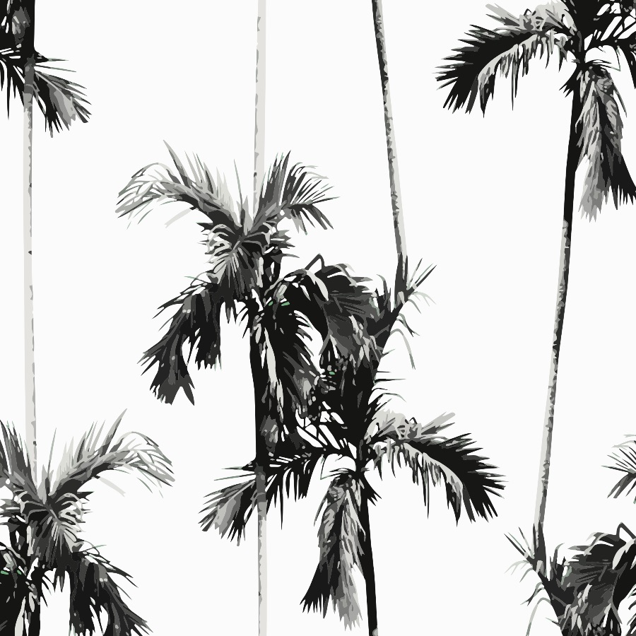 Palm Tree Wallpaper - Black and White Peel and Stick - The Wallberry