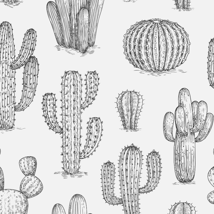 cactus iPhone Wallpapers Free Download