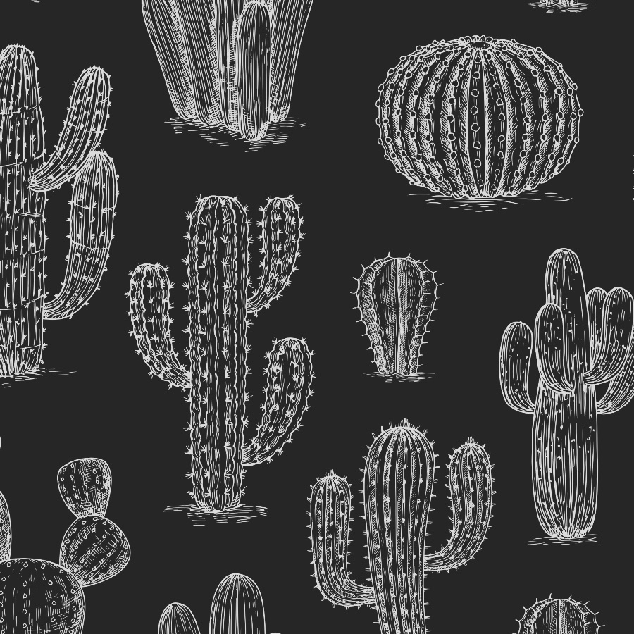 Black Cactus Wallpaper - Peel and Stick - The Wallberry