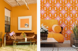hottest color palettes of 2023 - color of the year