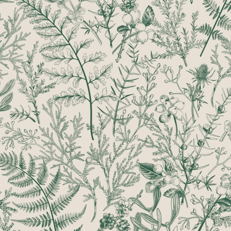 Botanical Fern Wallpaper - Peel And Stick - The Wallberry