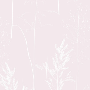 pink botanical wildflower wallpaper in peel and stick